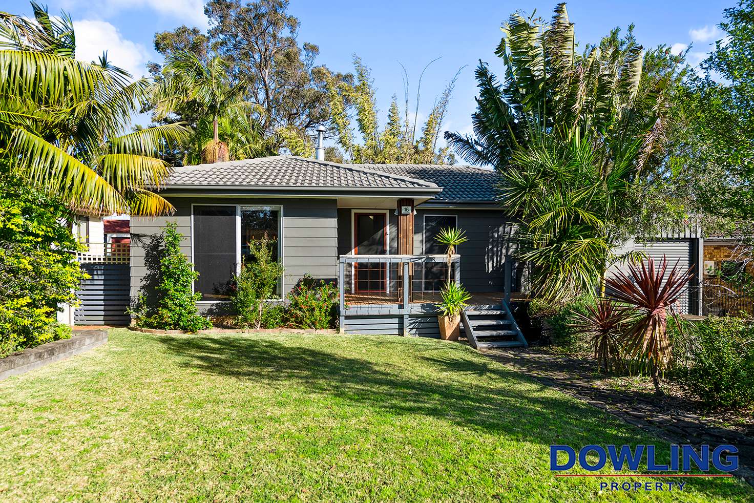 Main view of Homely house listing, 16 Tea Tree Drive, Medowie NSW 2318