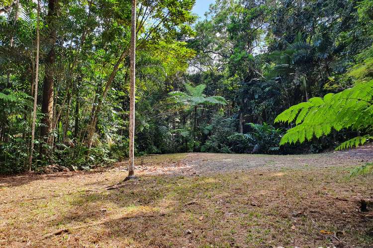 Main view of Homely residentialLand listing, 132 George Road, FOREST CREEK, Daintree QLD 4873