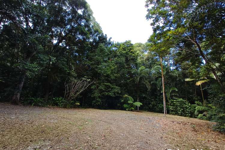 Sixth view of Homely residentialLand listing, 132 George Road, FOREST CREEK, Daintree QLD 4873