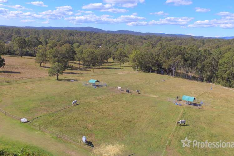 Fifth view of Homely acreageSemiRural listing, 264-278 Millstream Road, Cedar Vale QLD 4285