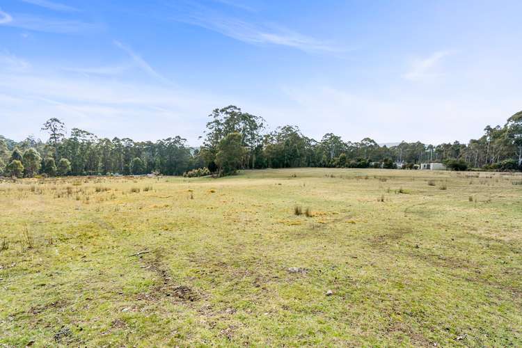 108 New Country Marsh Road, Levendale TAS 7120