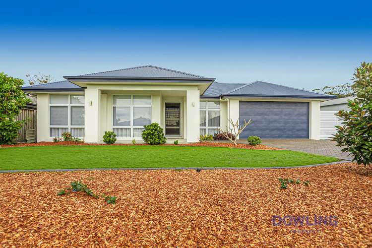 Main view of Homely house listing, 6 Royal Avenue, Medowie NSW 2318