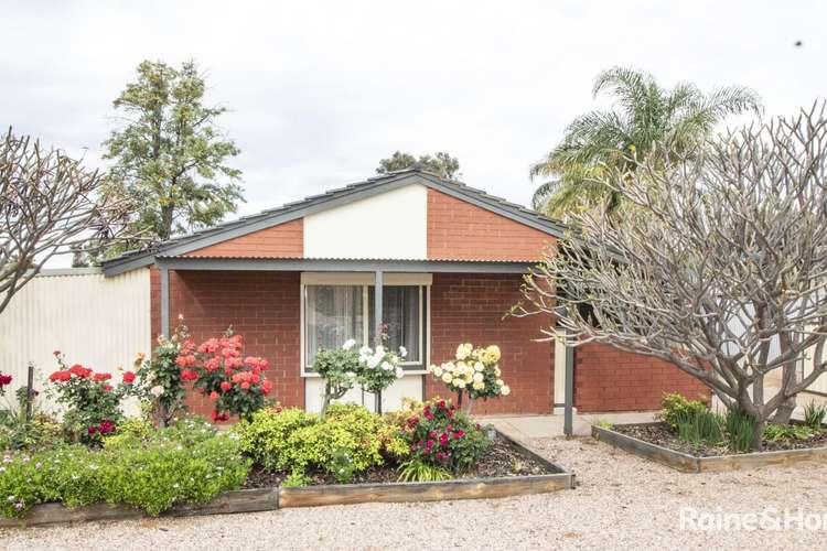 Main view of Homely house listing, 115 Hurcombe Crescent, Port Augusta West SA 5700