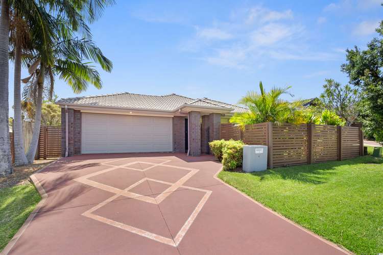 8 Daphne Place, Wakerley QLD 4154