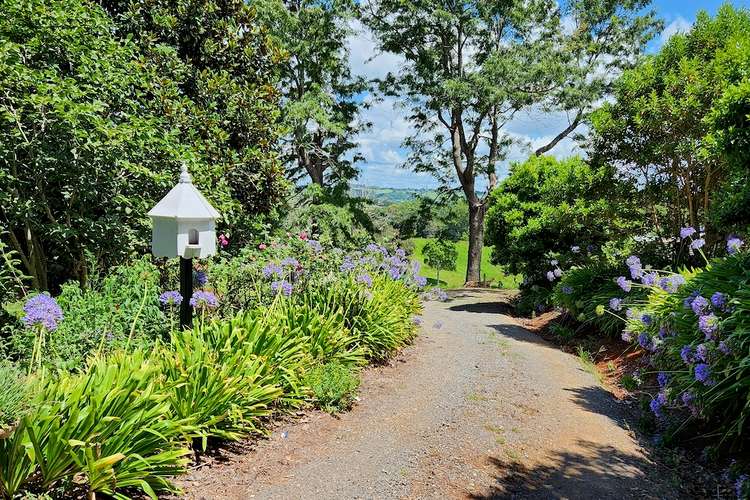 Main view of Homely house listing, 47 North Maleny Road, North Maleny QLD 4552