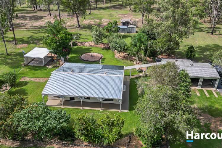 Main view of Homely house listing, 1 Grevillia Drive, Redridge QLD 4660
