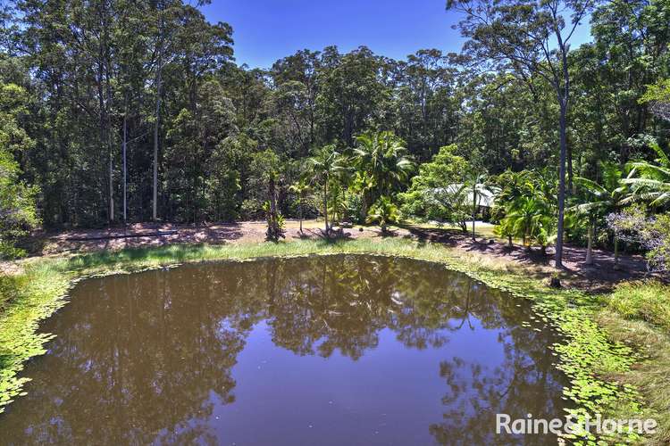 272 Ringtail Creek Road, Ringtail Creek QLD 4565