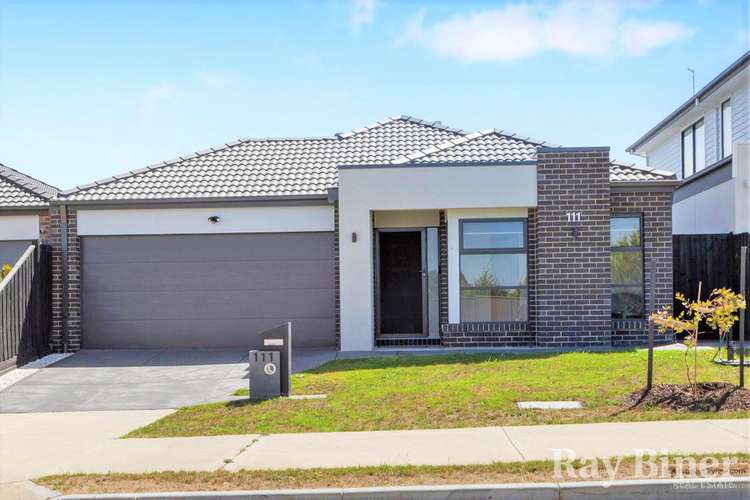 Main view of Homely house listing, 111 Carroll Lane, Greenvale VIC 3059