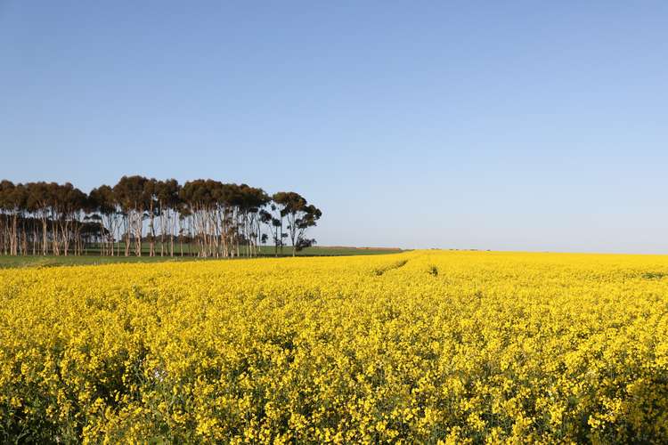 Main view of Homely mixedFarming listing, 4714 South Coast Highway, Coomalbidgup WA 6450