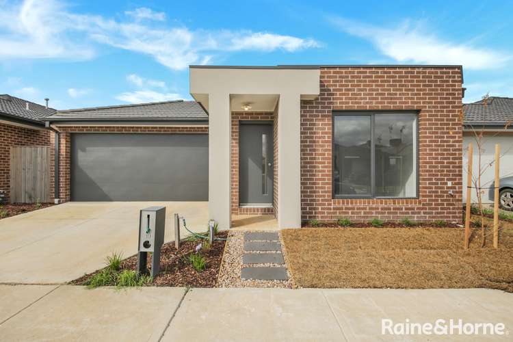 Main view of Homely house listing, 19 Ackerman Avenue, Tarneit VIC 3029