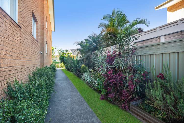 Third view of Homely unit listing, 9/42 Burrawan Street, Port Macquarie NSW 2444