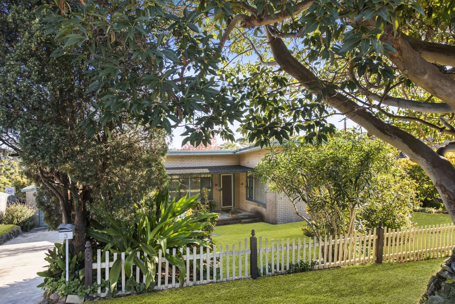 Main view of Homely house listing, 3 Beryl Avenue, Mount Colah NSW 2079