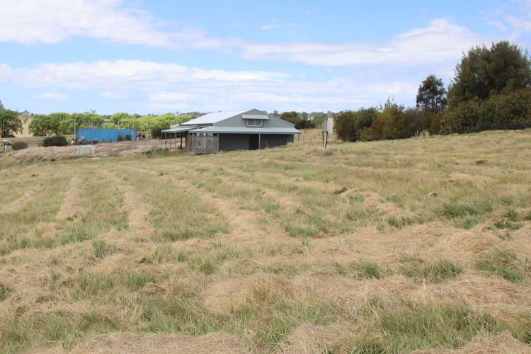 308A Mount Lindesay Road, Tenterfield NSW 2372