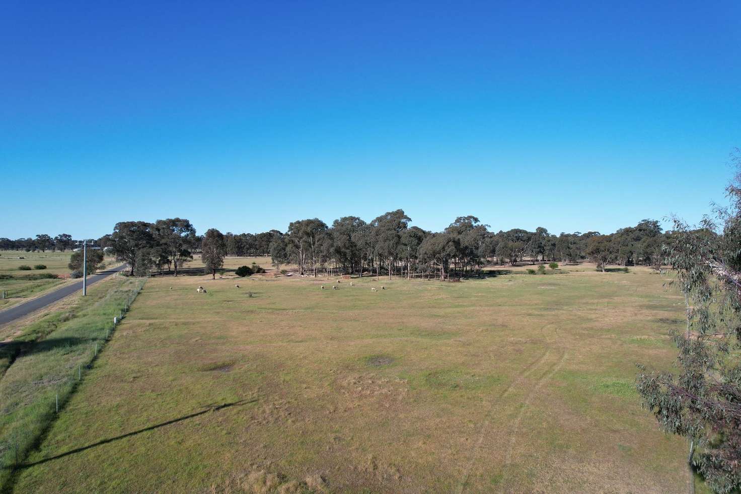 Main view of Homely ruralOther listing, 17 Humbug Mine Road, Timor VIC 3465