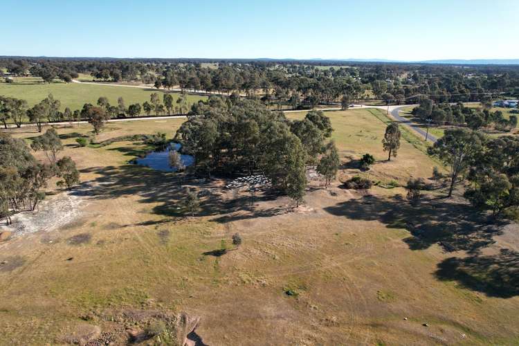 Fourth view of Homely ruralOther listing, 17 Humbug Mine Road, Timor VIC 3465