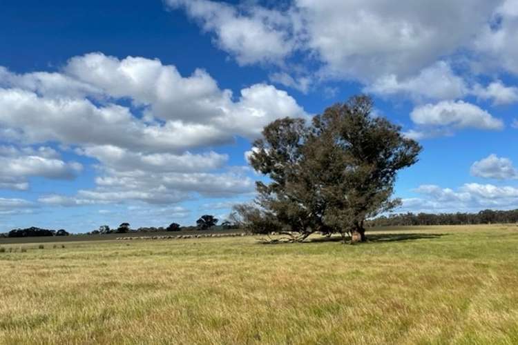 Second view of Homely acreageSemiRural listing, lot 1 Keoghs Lane, Llanelly VIC 3551