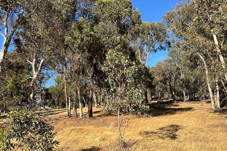 Main view of Homely lifestyle listing, Lot 9 Forrest Street, Boddington WA 6390
