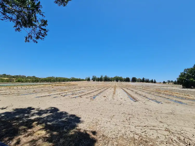 Main view of Homely rural property listing, 132 Dooling Road, Neergabby WA 6503