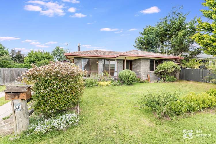 Main view of Homely house listing, 36 Brewery Lane, Armidale NSW 2350