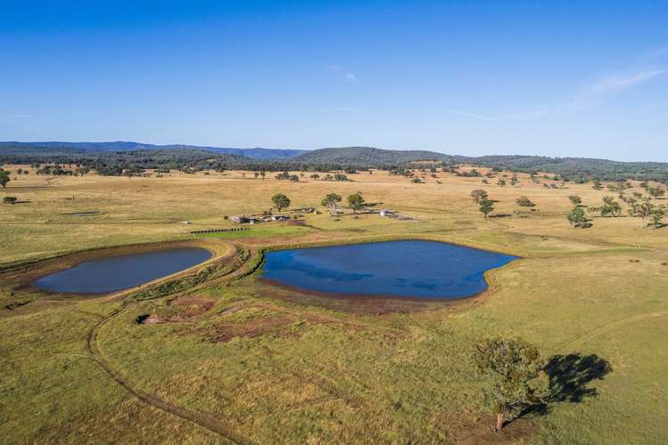 Main view of Homely ruralOther listing, 1872 Reedy Creek Road, Tenterfield NSW 2372