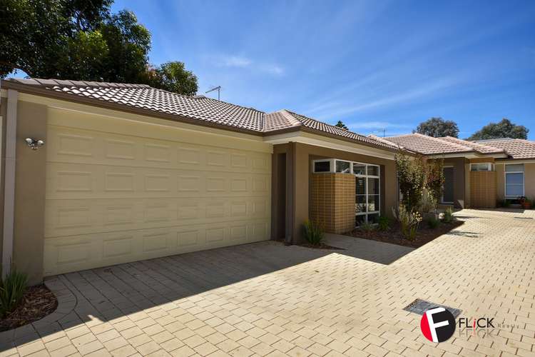 Main view of Homely house listing, 31B Archidamus Road, Coolbellup WA 6163