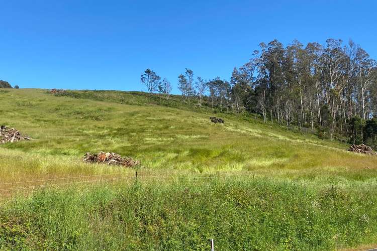 Main view of Homely residentialLand listing, 550 Liena Road, Mole Creek TAS 7304