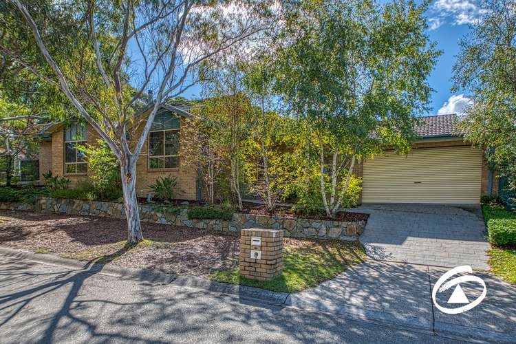 Main view of Homely house listing, 16 Wanderer Court, Berwick VIC 3806