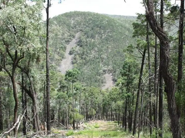Third view of Homely rural property listing, Lot 10 Mountain Creek, Tenterfield NSW 2372