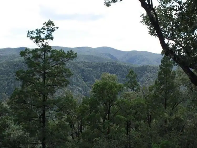 Fifth view of Homely rural property listing, Lot 10 Mountain Creek, Tenterfield NSW 2372
