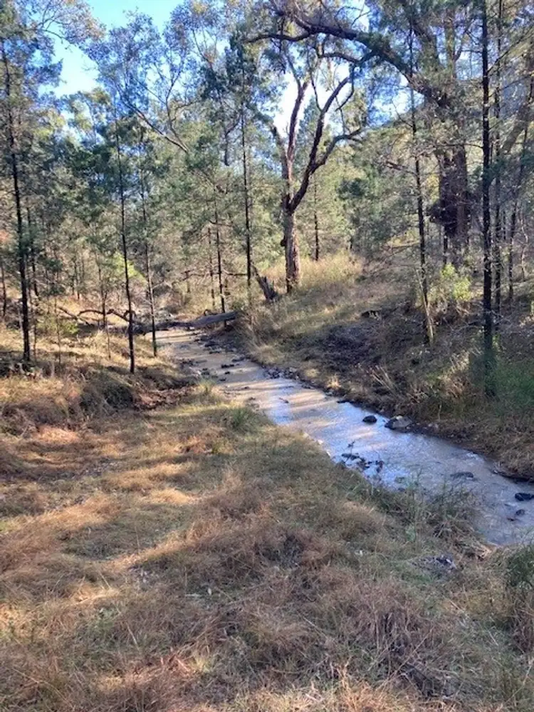 Sixth view of Homely rural property listing, Lot 10 Mountain Creek, Tenterfield NSW 2372