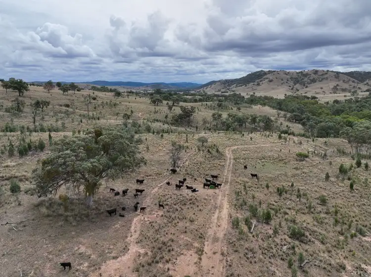 Seventh view of Homely rural property listing, 1872 Mole River Road, Tenterfield NSW 2372