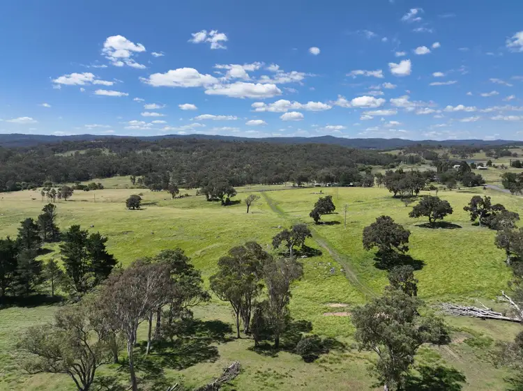 Seventh view of Homely rural property listing, 409 Mount Lindesay Road, Tenterfield NSW 2372