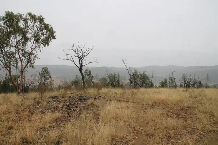 Fourth view of Homely rural property listing, Proposed Lot 22 Bruxner Way, Tenterfield NSW 2372