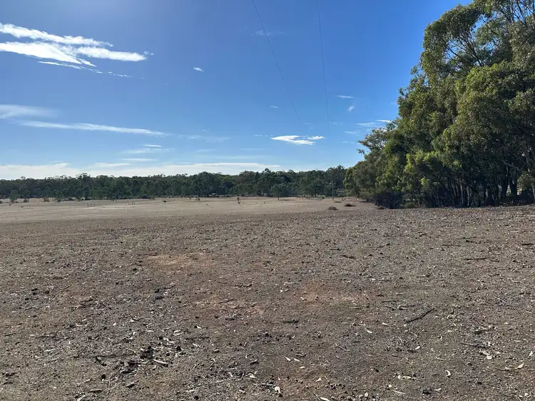 Third view of Homely rural property listing, 45 Wanlace Road, Majorca VIC 3465