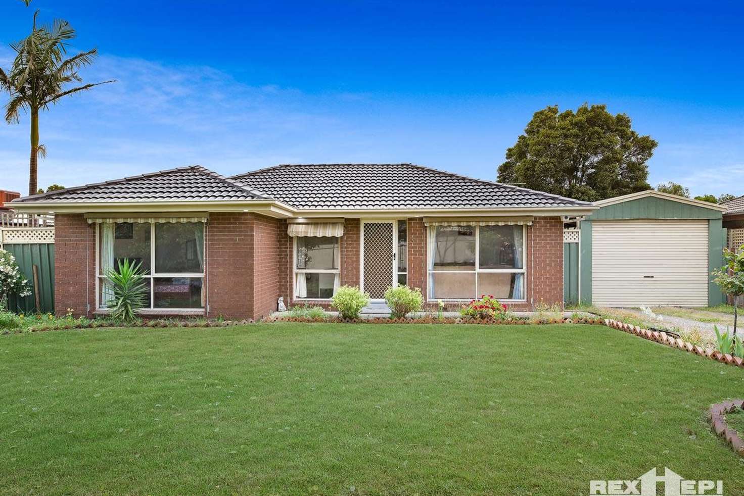 Main view of Homely house listing, 3 Hazelwood Avenue, Cranbourne North VIC 3977