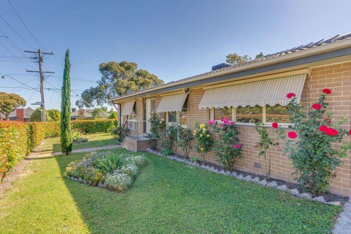 Main view of Homely house listing, 46 Elm Street, Bayswater VIC 3153