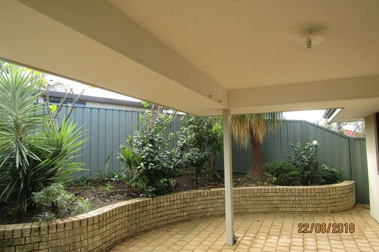 Main view of Homely unit listing, 6A Cradle Close, Alexander Heights WA 6064