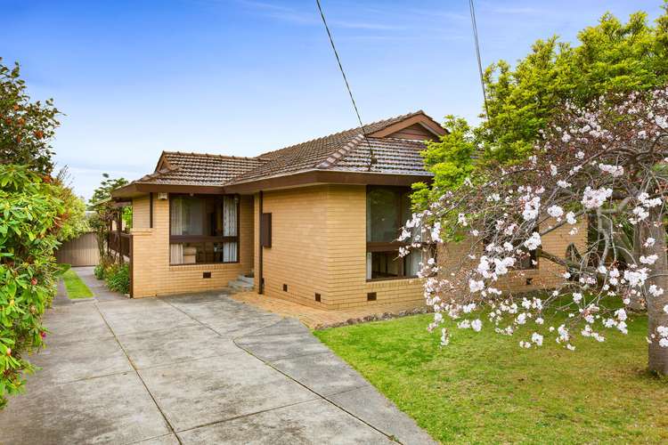 Main view of Homely house listing, 17 Sharon Street, Doncaster VIC 3108