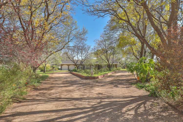 Fourth view of Homely house listing, 494 River Road, Coomealla NSW 2717