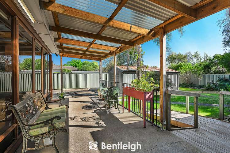 Fifth view of Homely house listing, 35 Hill Street, Bentleigh East VIC 3165