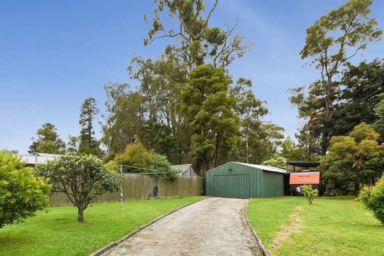 Fourth view of Homely house listing, 16 Lockwood Road, Belgrave Heights VIC 3160