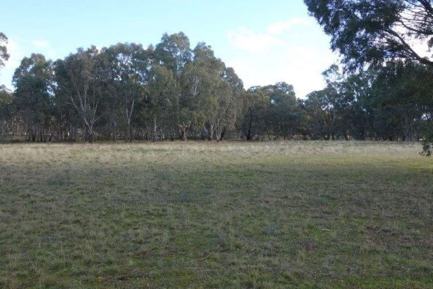 Main view of Homely ruralOther listing, 219 Dunolly-Moliagul Road, Dunolly VIC 3472