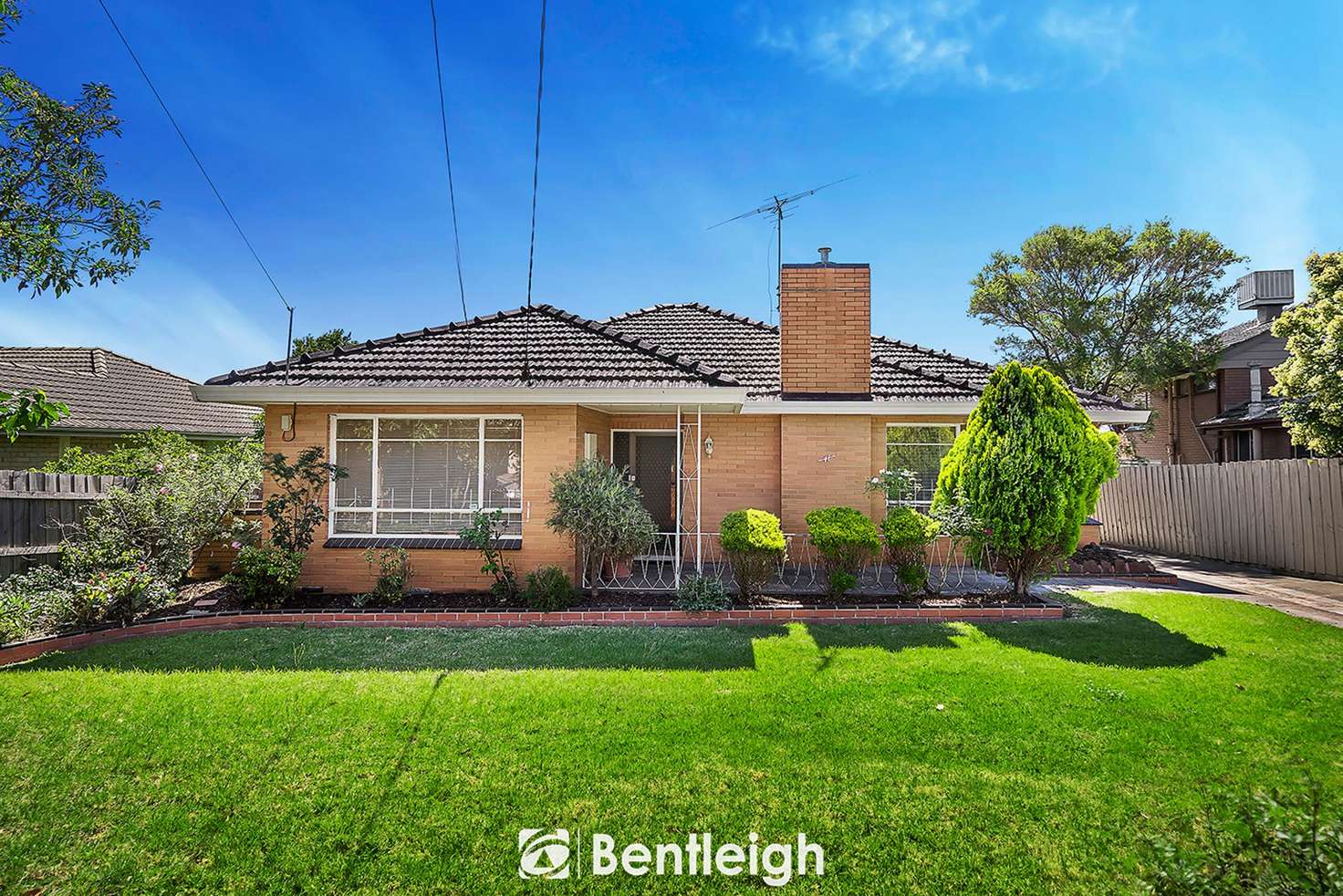 Main view of Homely house listing, 41 Brady Road, Bentleigh East VIC 3165
