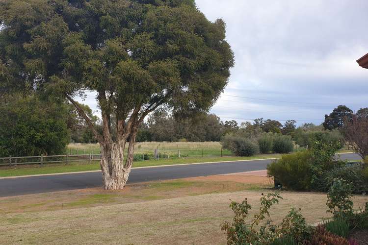 Fourth view of Homely house listing, 29 Bedingfeld Road, Pinjarra WA 6208