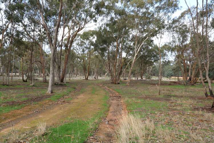 Third view of Homely residentialLand listing, 672 Carisbrook-Havelock Road, Havelock VIC 3465