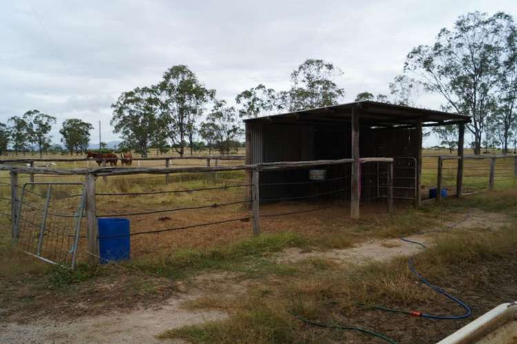 Third view of Homely ruralOther listing, 440 Alton Downs - Nine Mile Road, Alton Downs QLD 4702