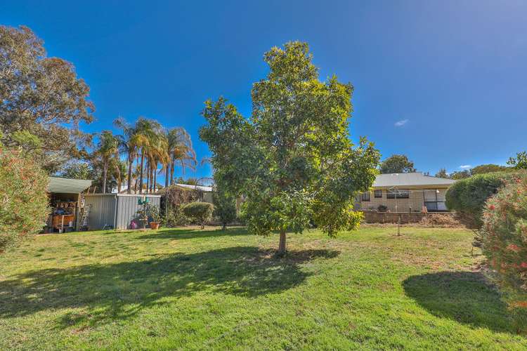 Third view of Homely house listing, 59 Nursery Ridge Road, Red Cliffs VIC 3496