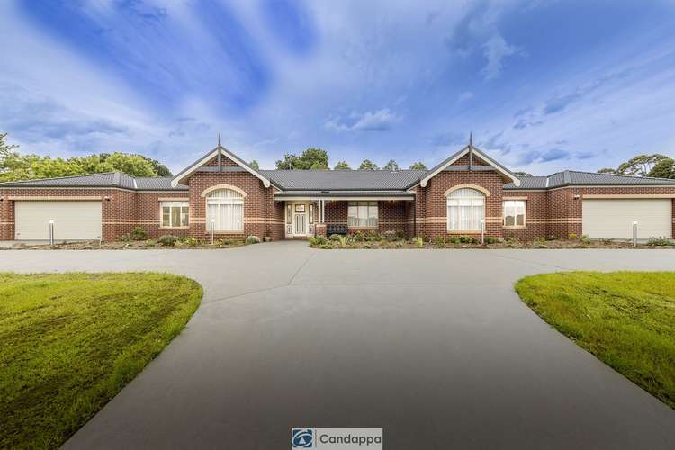 Main view of Homely house listing, 19 Fernery Boulevard, Warragul VIC 3820