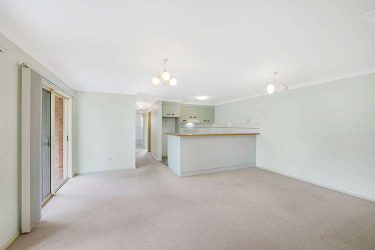 Fifth view of Homely apartment listing, 3/115-117 Ocean Parade, Blue Bay NSW 2261