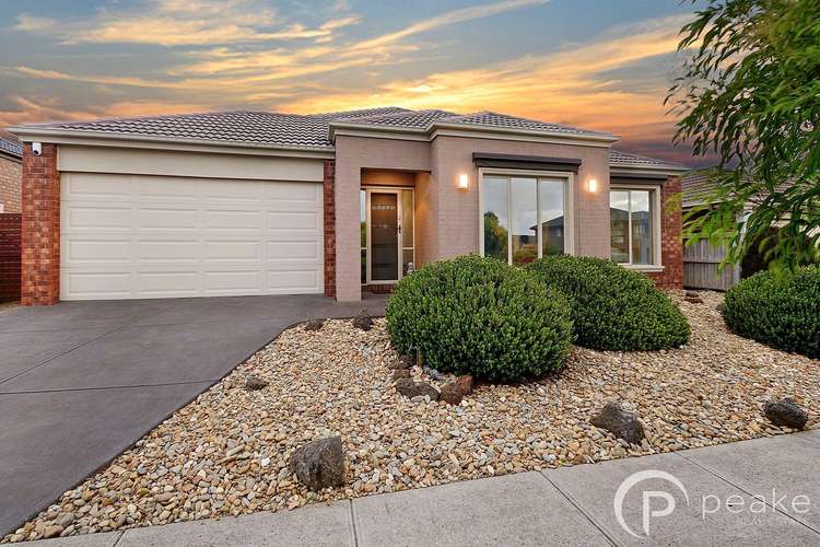 Main view of Homely house listing, 16 Duke Street, Berwick VIC 3806